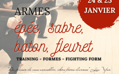 Stage d’armes : placer son intention au-delà de la forme